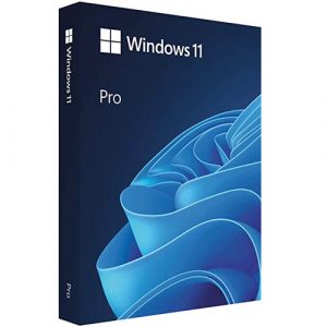 Windows 11 Professional Key