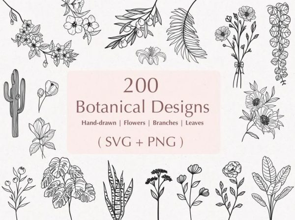 200 Botanical Svg Bundle for Commercial use