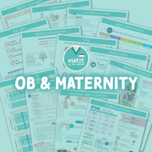 OB & Maternity Study Guide