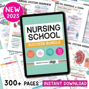 Nursing School Notes Success Bundle